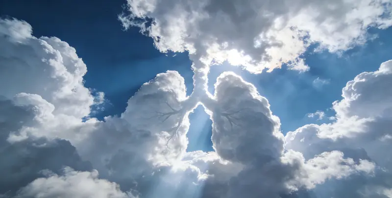 自贡肺癌靶向120基因检测及PDL122C3表达检测套餐（组织）图片1