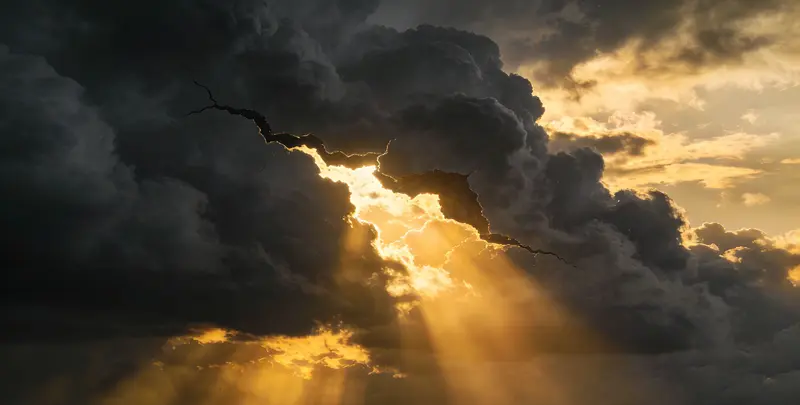 自贡肺癌13基因突变检测（组织）图片1