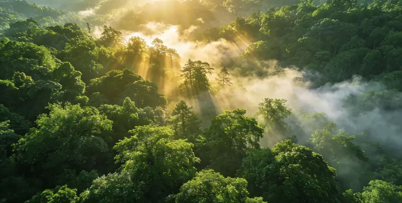 自贡肺癌8基因突变检测（组织）图片1