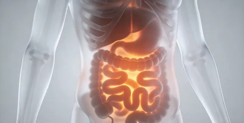 胃癌分子分型基因检测项目（组织）图2